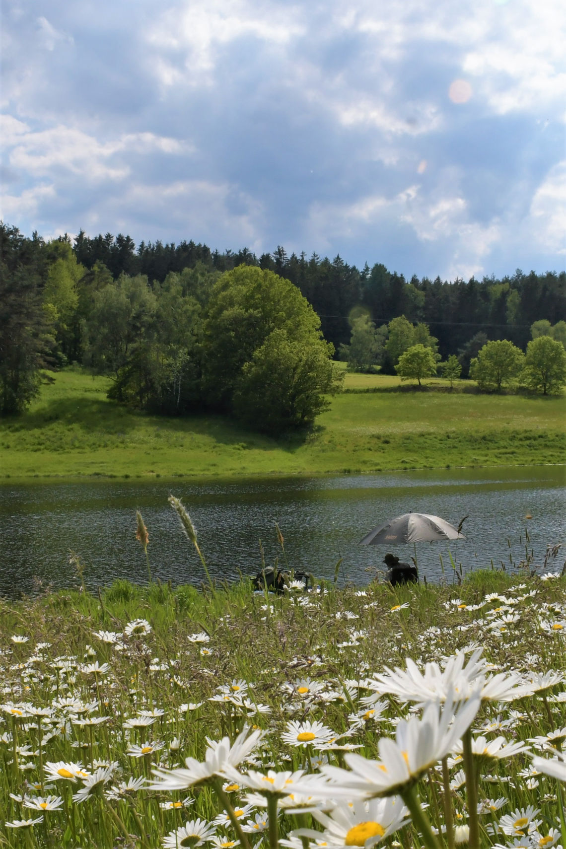 Angeln am Eixendorfer See