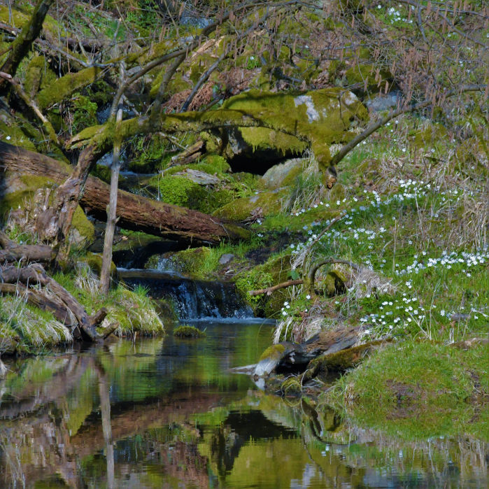 Wandern Schwarzach